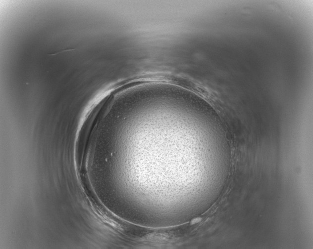 X0000061730294200512050941