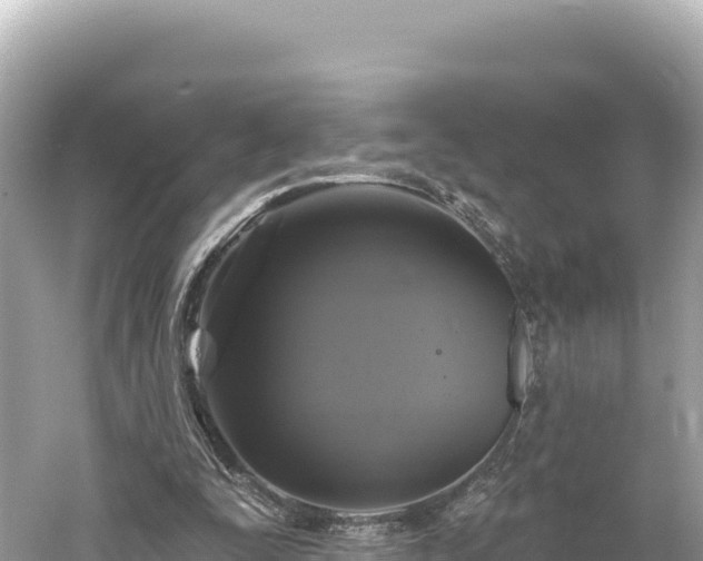 X0000061730295200512050941