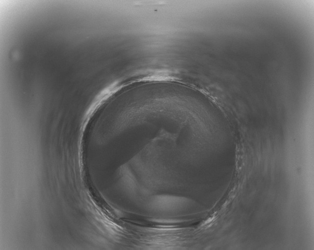 X0000061730296200512050941