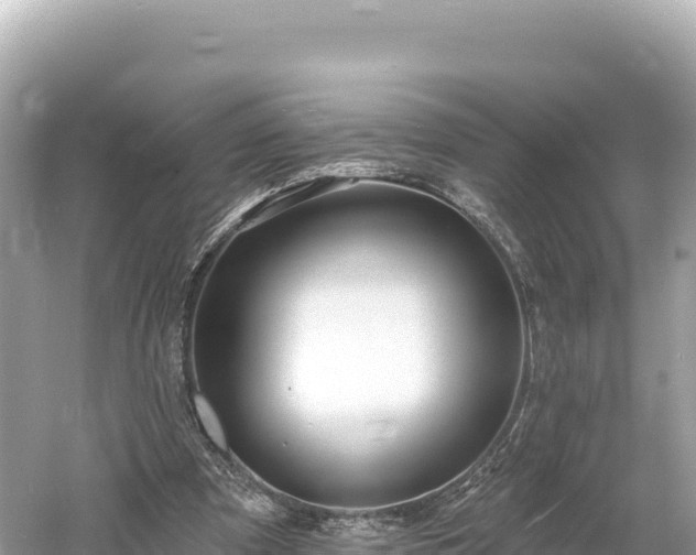 X0000061730297200512050941