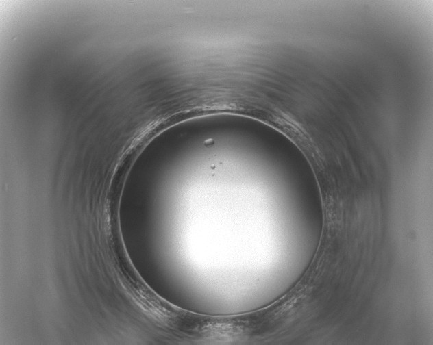 X0000061730298200512050941