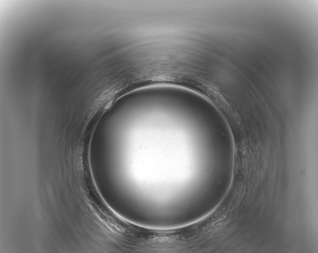 X0000061730299200512050941