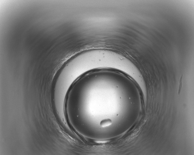 X0000061730301200512050941