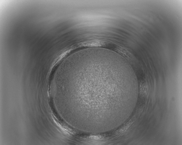 X0000061730302200512050941