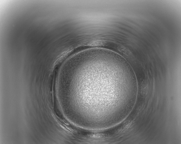 X0000061730303200512050941