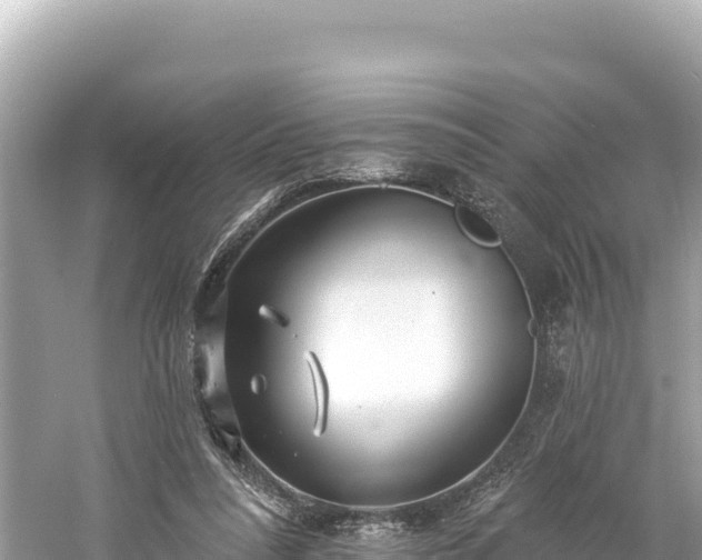 X0000061730304200512050941