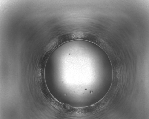 X0000061730308200512050940