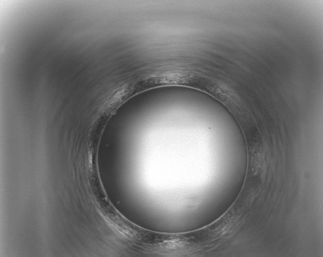 X0000061730310200512050940