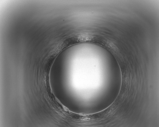 X0000061730315200512050940