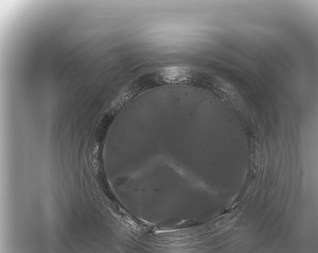 X0000061730319200512050940