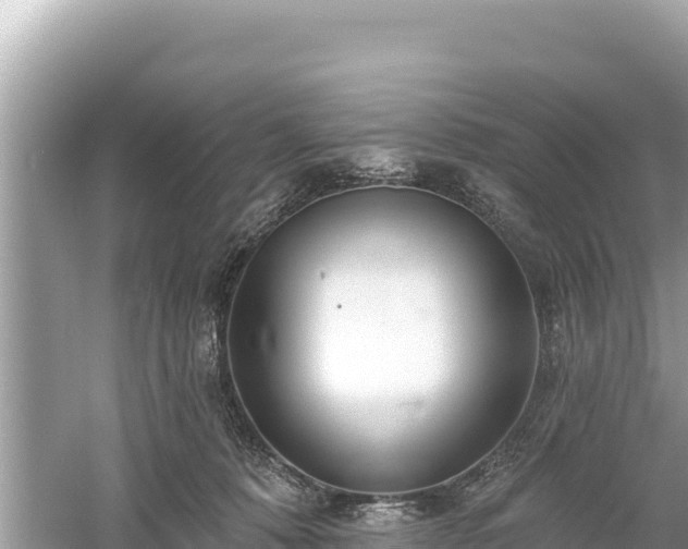 X0000061730320200512050940