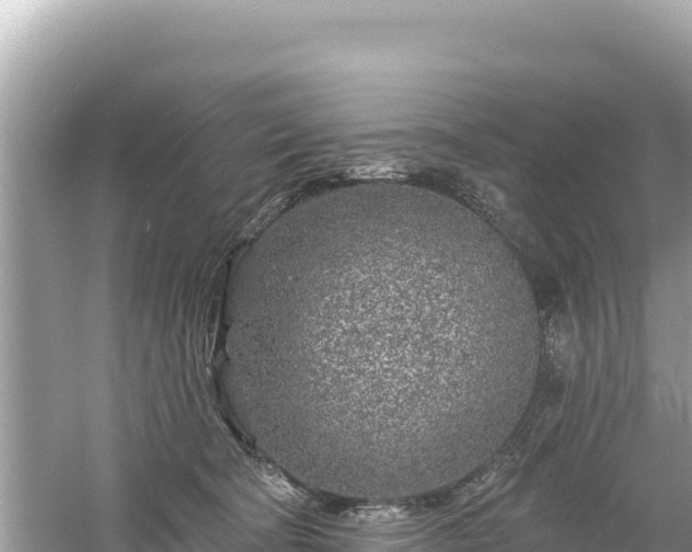 X0000061730322200512050940