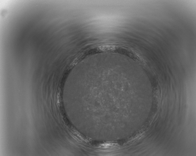 X0000061730323200512050940