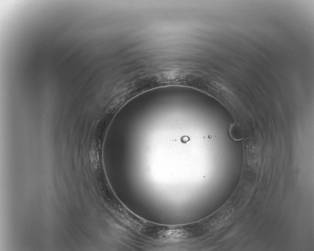 X0000061730324200512050940