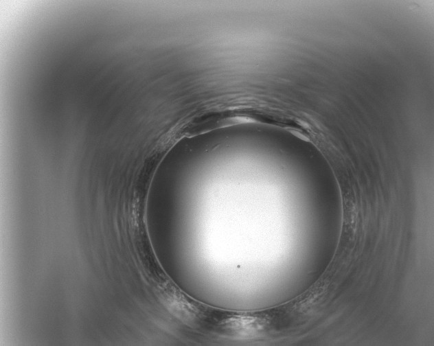 X0000061730326200512050940