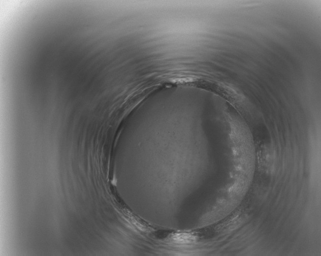 X0000061730327200512050940