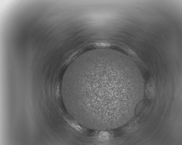 X0000061730330200512050940