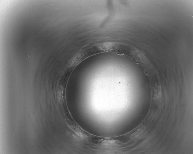 X0000061730332200512050940