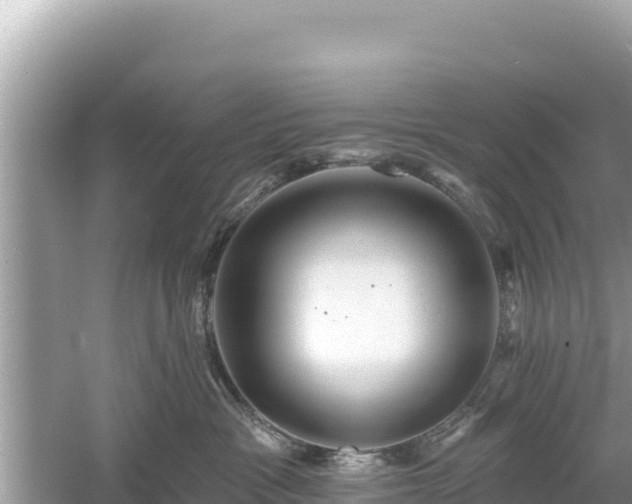 X0000061730333200512050940