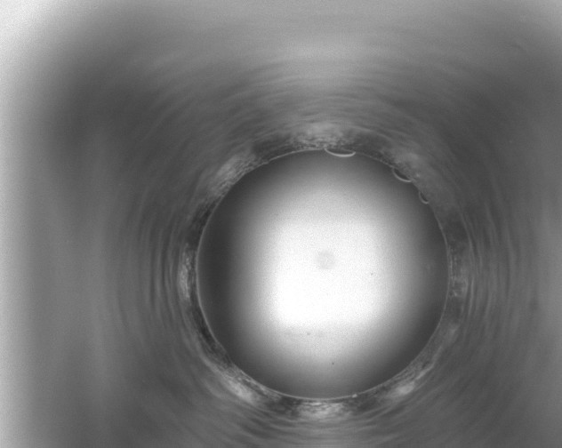 X0000061730334200512050940