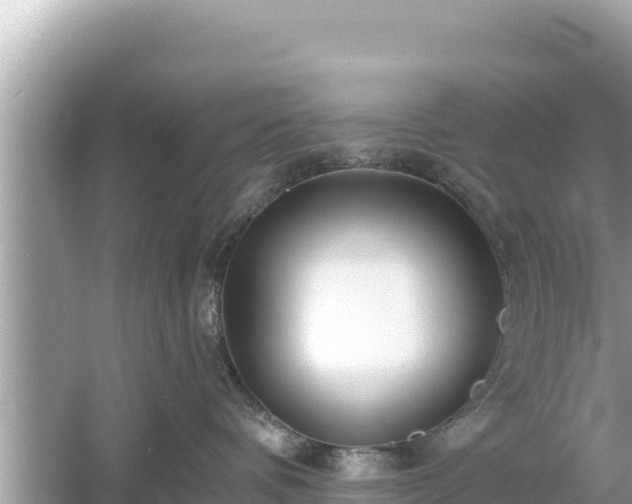 X0000061730336200512050940