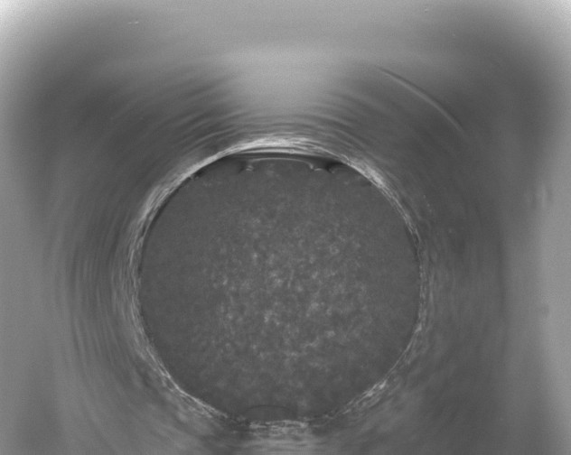 X0000061730337200512050939