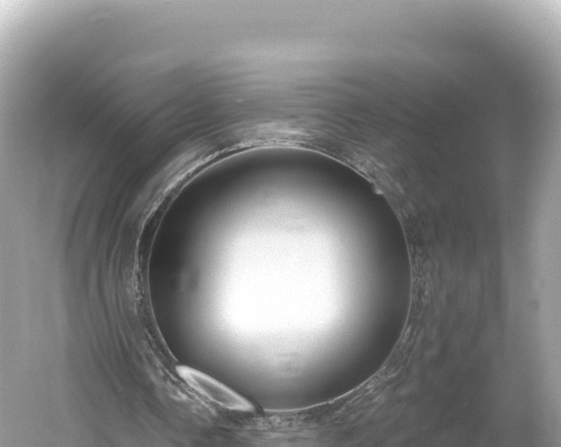 X0000061730338200512050939