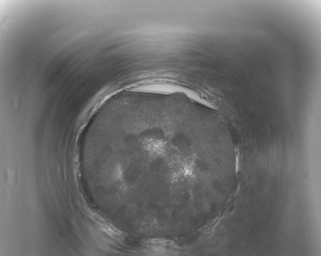 X0000061730339200512050939