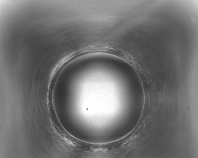 X0000061730340200512050939