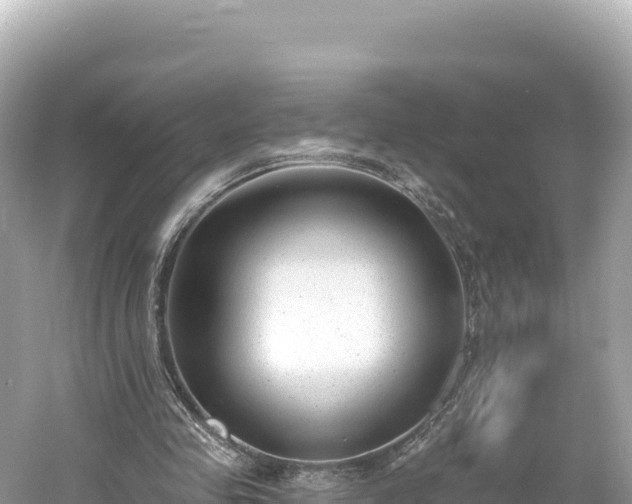 X0000061730341200512050939