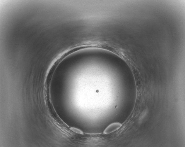 X0000061730342200512050939