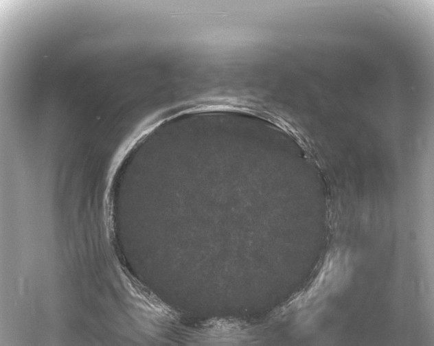 X0000061730343200512050939