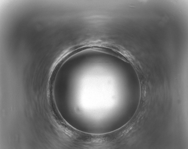 X0000061730344200512050939