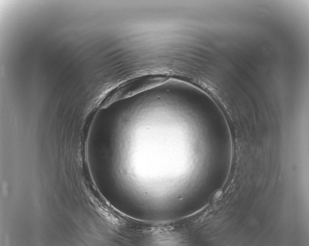 X0000061730345200512050939