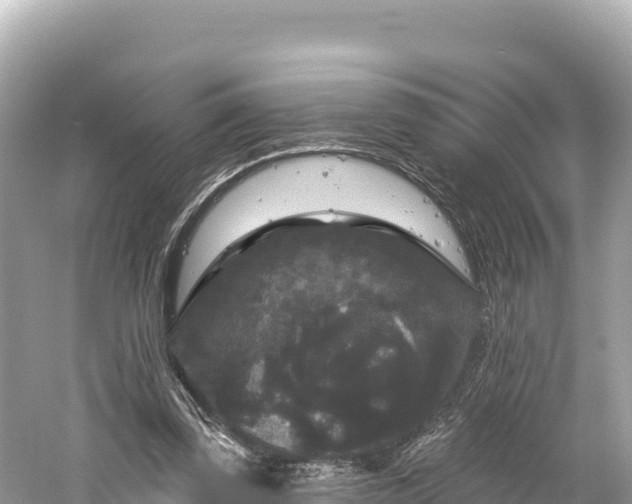 X0000061730347200512050939