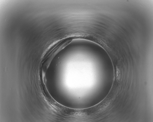 X0000061730348200512050939