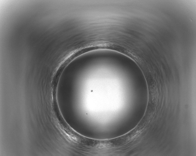 X0000061730350200512050939