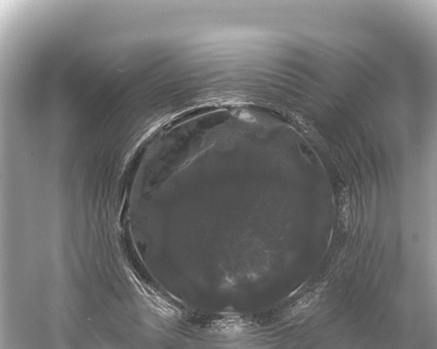 X0000061730351200512050939