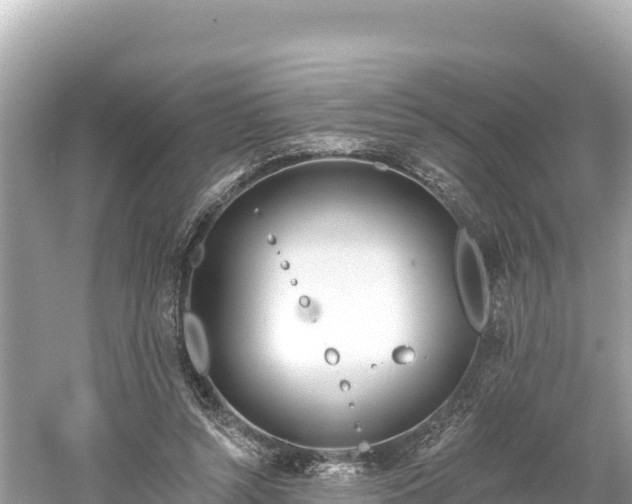 X0000061730352200512050939