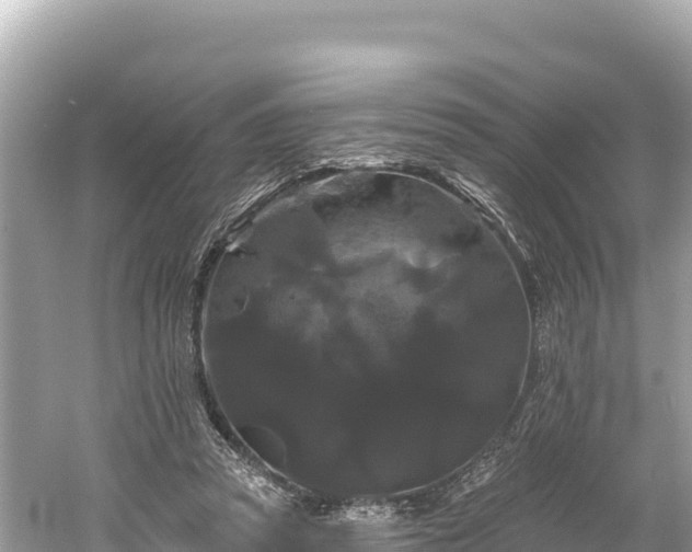 X0000061730353200512050939