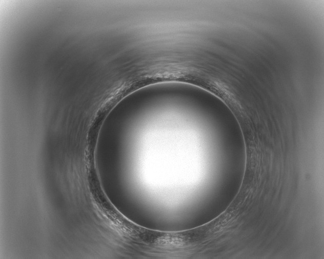 X0000061730354200512050939