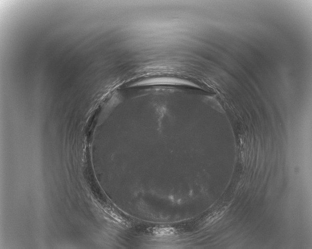 X0000061730355200512050939