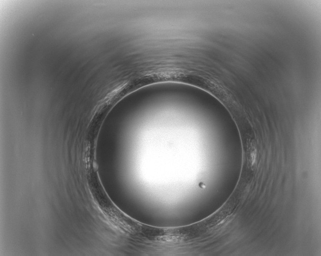 X0000061730356200512050940