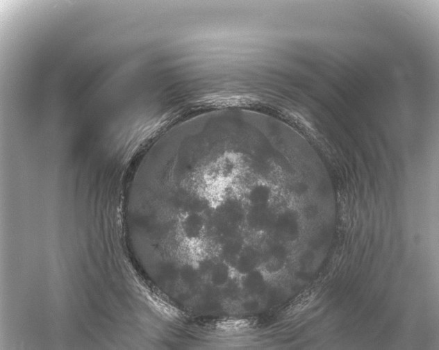 X0000061730357200512050940