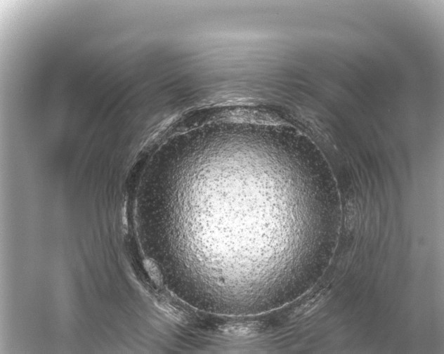 X0000061730358200512050940