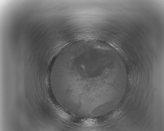 X0000061730359200512050940