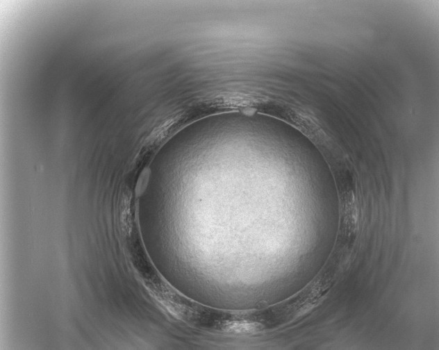 X0000061730360200512050940