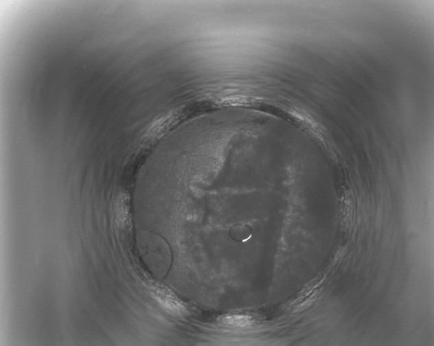 X0000061730361200512050940