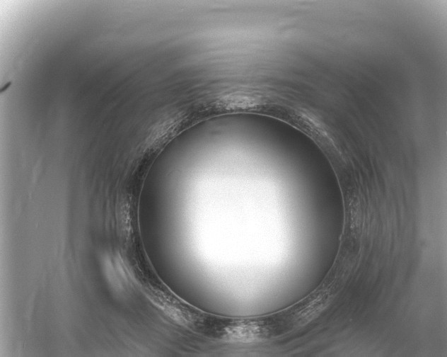 X0000061730362200512050940