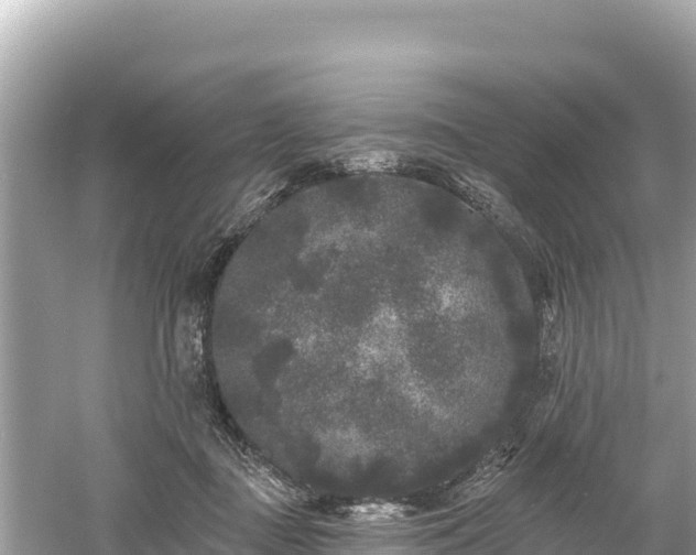 X0000061730363200512050940